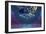 Celestial-Seerlight-Framed Giclee Print