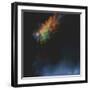 Celestial-5fishcreative-Framed Giclee Print