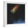 Celestial-5fishcreative-Framed Giclee Print