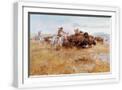 White Frame
