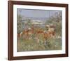 Celia Thaxter’s Garden, Isles of Shoals, Maine, 1890-Childe Hassam-Framed Giclee Print