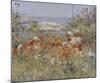 Celia Thaxter’s Garden, Isles of Shoals, Maine, 1890-Childe Hassam-Mounted Giclee Print