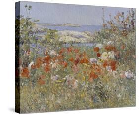 Celia Thaxter’s Garden, Isles of Shoals, Maine, 1890-Childe Hassam-Stretched Canvas