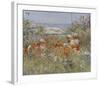 Celia Thaxter’s Garden, Isles of Shoals, Maine, 1890-Childe Hassam-Framed Art Print