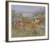 Celia Thaxter’s Garden, Isles of Shoals, Maine, 1890-Childe Hassam-Framed Art Print