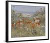 Celia Thaxter’s Garden, Isles of Shoals, Maine, 1890-Childe Hassam-Framed Art Print