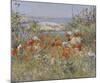 Celia Thaxter’s Garden, Isles of Shoals, Maine, 1890-Childe Hassam-Mounted Art Print