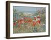 Celia Thaxter's Garden, Isles of Shoals, Maine, 1890-Childe Hassam-Framed Giclee Print