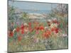 Celia Thaxter's Garden, Isles of Shoals, Maine, 1890-Childe Hassam-Mounted Giclee Print