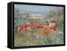 Celia Thaxter's Garden, Isles of Shoals, Maine, 1890-Childe Hassam-Framed Stretched Canvas