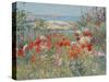 Celia Thaxter's Garden, Isles of Shoals, Maine, 1890-Childe Hassam-Stretched Canvas