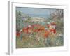 Celia Thaxter's Garden, Isles of Shoals, Maine, 1890-Childe Hassam-Framed Giclee Print