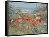 Celia Thaxter's Garden, Isles of Shoals, Maine, 1890-Childe Hassam-Framed Stretched Canvas