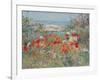 Celia Thaxter's Garden, Isles of Shoals, Maine, 1890-Childe Hassam-Framed Giclee Print