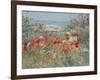 Celia Thaxter's Garden, Isles of Shoals, Maine, 1890-Childe Hassam-Framed Giclee Print