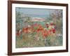 Celia Thaxter's Garden, Isles of Shoals, Maine, 1890-Childe Hassam-Framed Giclee Print