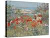 Celia Thaxter's Garden, Isles of Shoals, Maine, 1890-Childe Hassam-Stretched Canvas