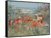 Celia Thaxter's Garden, Isles of Shoals, Maine, 1890-Childe Hassam-Framed Stretched Canvas