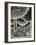 Chelsea Forest Gray