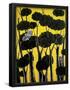 Essential Black