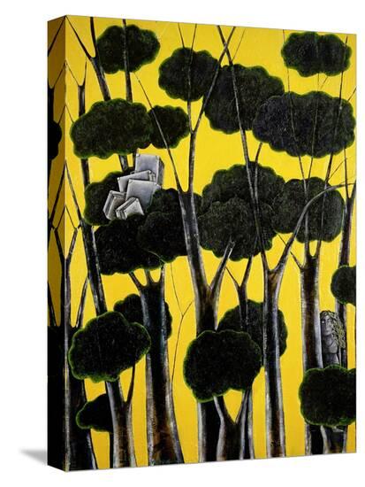 Stretched Canvas Print, , large