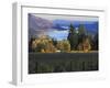 Celilo Vineyard, Columbia River Gorge, Washington, USA-Janis Miglavs-Framed Photographic Print