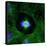 Cell Division, Fluorescent Micrograph-Dr. Torsten Wittmann-Stretched Canvas