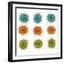 Cell Division-Jan Weiss-Framed Art Print