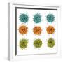 Cell Division-Jan Weiss-Framed Art Print