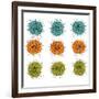 Cell Division-Jan Weiss-Framed Premium Giclee Print