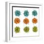 Cell Division-Jan Weiss-Framed Art Print