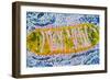 Cell Mitochondrion-null-Framed Photographic Print