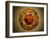 Cell Nucleus with Chromosome-null-Framed Art Print