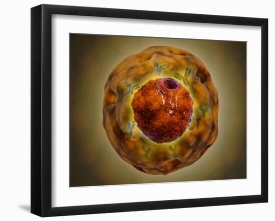 Cell Nucleus with Chromosome-null-Framed Art Print