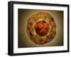 Cell Nucleus with Chromosome-null-Framed Art Print