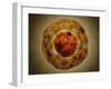 Cell Nucleus with Chromosome-null-Framed Art Print