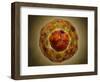 Cell Nucleus with Chromosome-null-Framed Art Print