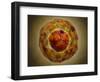 Cell Nucleus with Chromosome-null-Framed Art Print