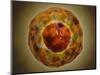 Cell Nucleus with Chromosome-null-Mounted Art Print