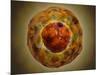 Cell Nucleus with Chromosome-null-Mounted Art Print