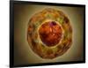 Cell Nucleus with Chromosome-null-Framed Art Print