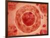 Cell Nucleus with Chromosome-null-Framed Art Print