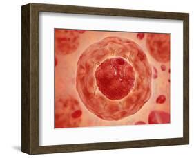 Cell Nucleus with Chromosome-null-Framed Art Print