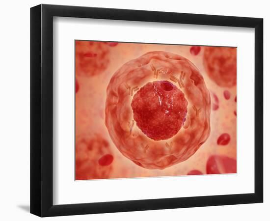 Cell Nucleus with Chromosome-null-Framed Art Print