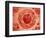 Cell Nucleus with Chromosome-null-Framed Art Print