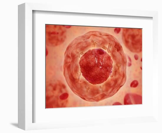 Cell Nucleus with Chromosome-null-Framed Art Print