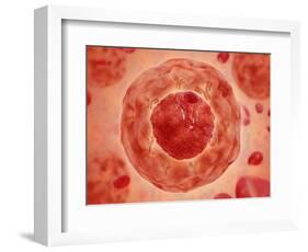 Cell Nucleus with Chromosome-null-Framed Art Print