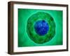 Cell Nucleus with Chromosome-null-Framed Art Print