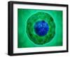 Cell Nucleus with Chromosome-null-Framed Art Print
