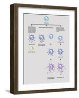 Cell Senescence, Illustration-Gwen Shockey-Framed Giclee Print